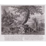 Johann Elias Ridinger (1698-1767), Bobry