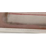 Mark Rothko, Abstrakcja