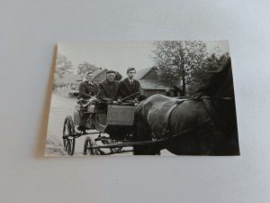 PHOTO VILLAGE, AGRICULTURE, HORSES