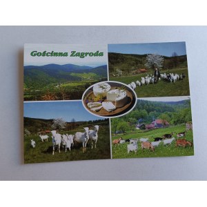 GOŚCINNA ZAGRODA, NOWY GIERAŁTÓW, STRONIE ŚLĄSKIE, KOZY