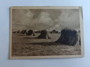 VILLAGE, FARMING, HARVEST, HAYING