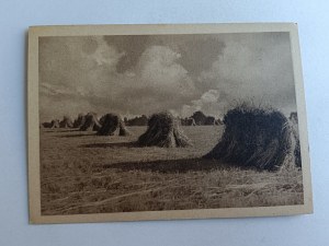 VILLAGE, FARMING, HARVEST, HAYING