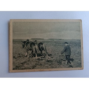 WIEŚ, ROLNICTWO, KONIE, ORKA