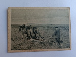 COUNTRYSIDE, FARMING, HORSES, PLOWING
