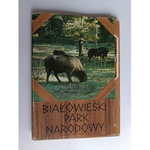 ZESTAW 9 POCZTÓWEK BIAŁOWIEŻA, BIAŁOWIESKI PARK NARODOWY ŻUBR BORSUK DZIK JENOT TARPAN