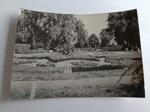 SAW CITY PARK