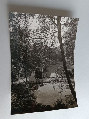 TORUN PARK FRAGMENT