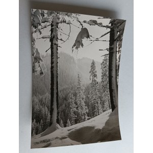 TATRY W ZIMIE