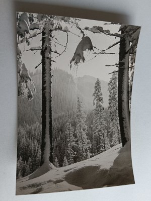 TATRA IN WINTER