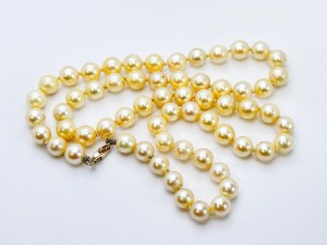 Gold Akoya saltwater pearl necklace