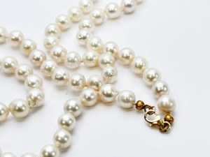 Gold necklace of Akoya salt pearls