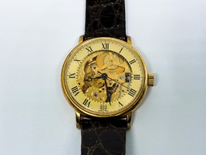SIJ Men's Mechanical Watch