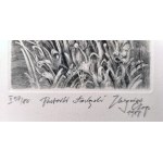 Zbigniew Czop Pasterki Łabędzi Miedzioryt/ Praca na papierze