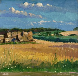 Slawomir J. Sicinski, Field, 2022