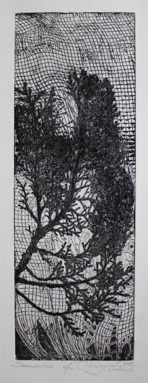 Małgorzata Śledzińska, Somewhere, 2015