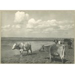 Bulhak J. - Polesie, Bobryk river, ca. 1935.