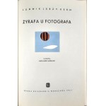 Kern Ludwik Jerzy - Giraffe at the photographer