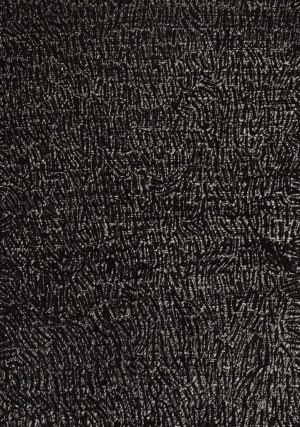 Michal Parisski, untitled, 2001