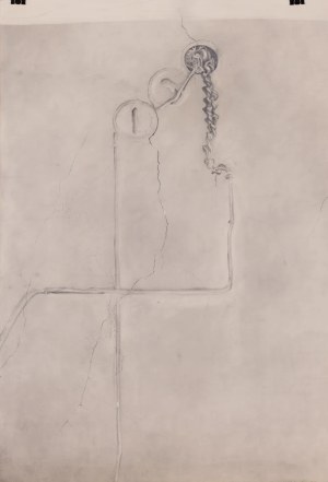 Ewa Zawadzka, Registior VII, 1979