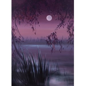 Anna Sołtysiak, Autumn nocturne, 2025
