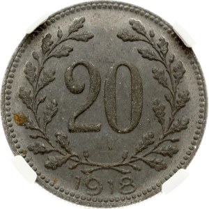 Austria 20 Heller 1918 NGC MS 64