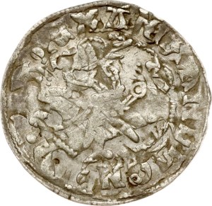 Lithuania Polgrosz ND (1492-1506) Vilnius Mint error