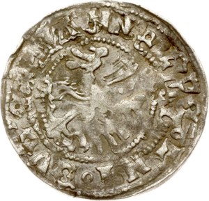 Lithuania Polgrosz ND (1492-1506) Vilnius Mint error