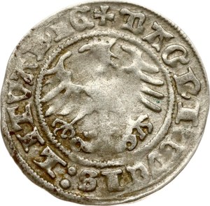 Lithuania Polgrosz 1512 Vilnius