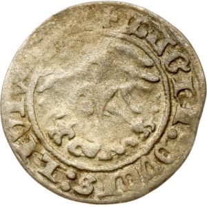 Lithuania Polgrosz 1513 Vilnius (R)