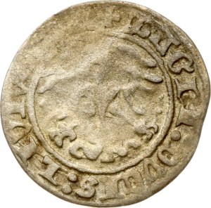 Lithuania Polgrosz 1513 Vilnius (R)
