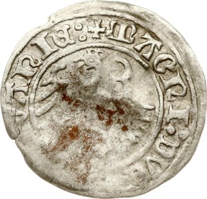 Lithuania Polgrosz 1516 Vilnius (R)