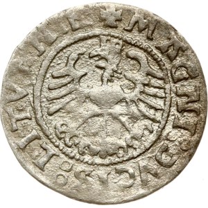 Lithuania Polgrosz 1527 Vilnius (R1)
