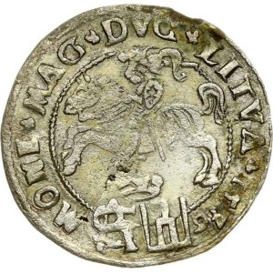 Lithuania Grosz 1546 Vilnius - date in circle (RR) - Depicted in Catalogue