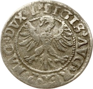 Lithuania Polgrosz 1546 Vilnius (R3)