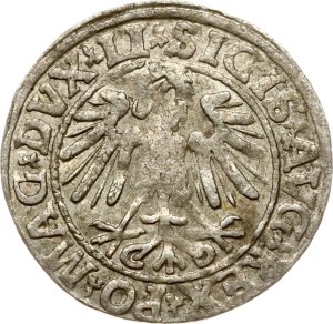 Lithuania Polgrosz 1547 Vilnius