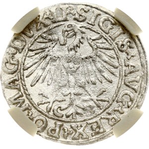 Lithuania Polgrosz 1548 Vilnius NGC MS 62