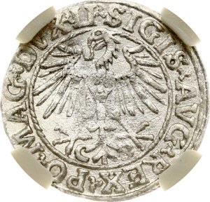 Lithuania Polgrosz 1548 Vilnius NGC MS 62