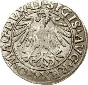 Lithuania Polgrosz 1548 Vilnius