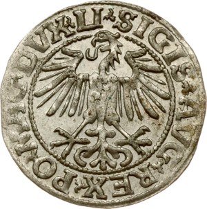 Lithuania Polgrosz 1549 Vilnius