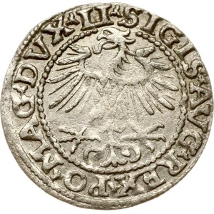 Lithuania Polgrosz 1552 Vilnius (R1)