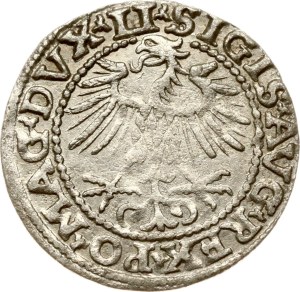 Lithuania Polgrosz 1552 Vilnius (R1)