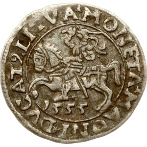 Lithuania Polgrosz 1555 Vilnius (R1)