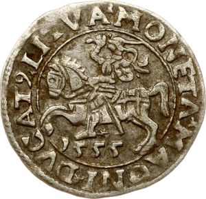 Lithuania Polgrosz 1555 Vilnius (R1)