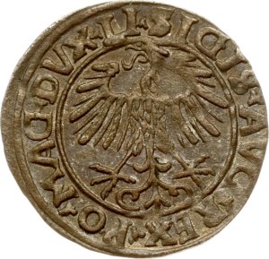 Lithuania Polgrosz 1556 Vilnius (R)