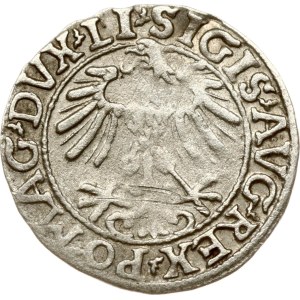 Lithuania Polgrosz 1557 Vilnius