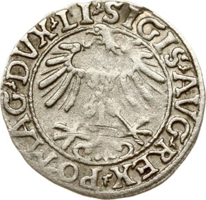 Lithuania Polgrosz 1557 Vilnius