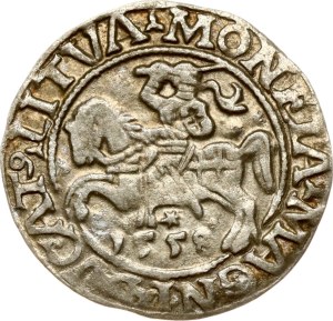 Lithuania Polgrosz 1558 Vilnius