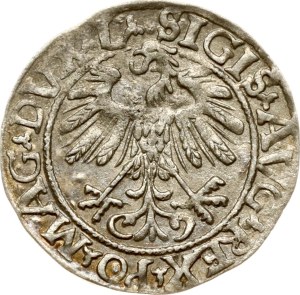 Lithuania Polgrosz 1558 Vilnius
