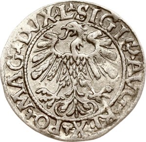 Lithuania Polgrosz 1559 Vilnius