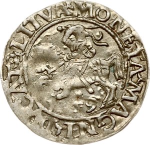 Lithuania Polgrosz 1559 Vilnius